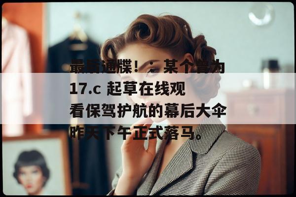 17c 第8页