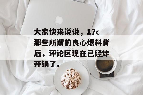 大家快来说说，17c那些所谓的良心爆料背后，评论区现在已经炸开锅了。